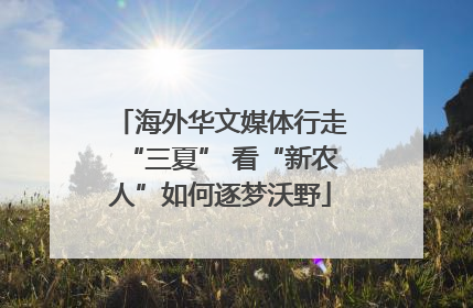 海外华文媒体行走“三夏” 看“新农人”如何逐梦沃野