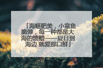 海蛏肥美，小章鱼脆弹，每一种都是大海的馈赠——夏日到海边 就爱那口鲜
