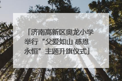 济南高新区奥龙小学举行“父爱如山 感恩永恒”主题升旗仪式