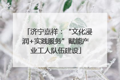 济宁嘉祥：“文化浸润+实践服务”赋能产业工人队伍建设