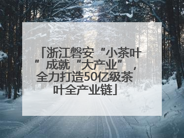 浙江磐安“小茶叶”成就“大产业”，全力打造50亿级茶叶全产业链