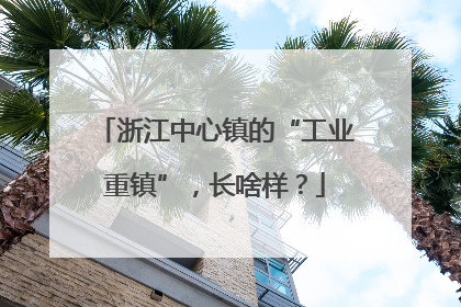 浙江中心镇的“工业重镇”，长啥样？