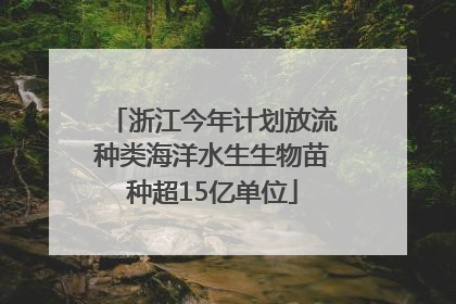 浙江今年计划放流种类海洋水生生物苗种超15亿单位