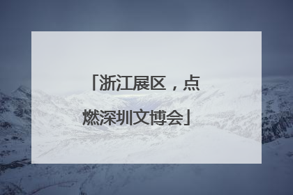 浙江展区，点燃深圳文博会