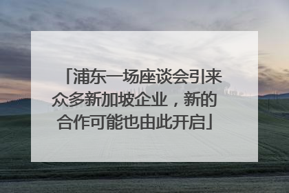 浦东一场座谈会引来众多新加坡企业，新的合作可能也由此开启
