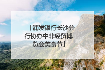浦发银行长沙分行协办中非经贸博览会美食节