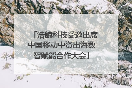 浩鲸科技受邀出席中国移动中资出海数智赋能合作大会