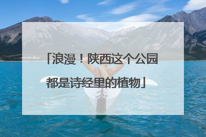 浪漫！陕西这个公园都是诗经里的植物
