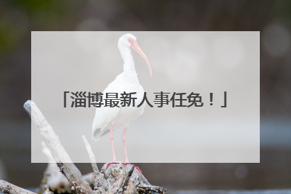 淄博最新人事任免！