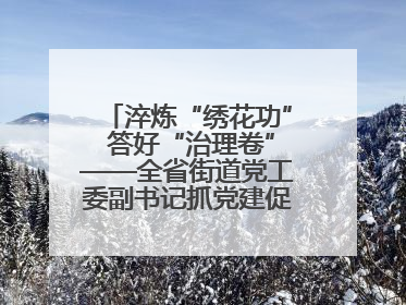 淬炼“绣花功” 答好“治理卷”——全省街道党工委副书记抓党建促基层治理培训示范班侧记