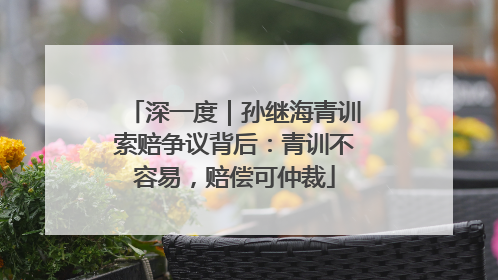 深一度｜孙继海青训索赔争议背后：青训不容易，赔偿可仲裁