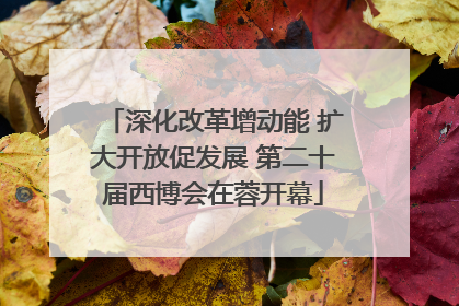 深化改革增动能 扩大开放促发展 第二十届西博会在蓉开幕
