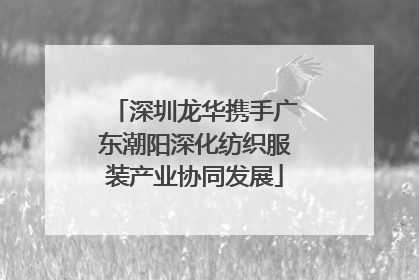 深圳龙华携手广东潮阳深化纺织服装产业协同发展