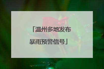 温州多地发布暴雨预警信号