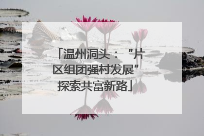 温州洞头：“片区组团强村发展”探索共富新路