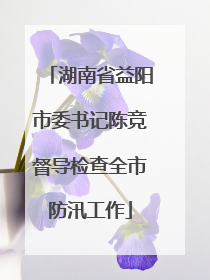 湖南省益阳市委书记陈竞督导检查全市防汛工作
