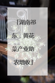 湖南祁东：黄花菜产业助农增收