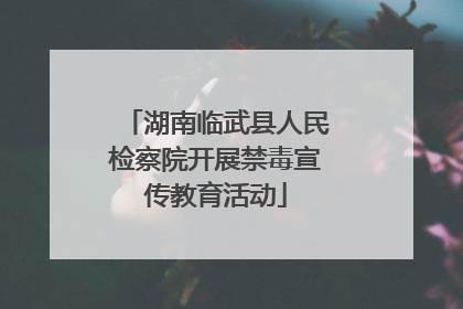 湖南临武县人民检察院开展禁毒宣传教育活动