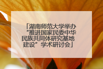 湖南师范大学举办“推进国家民委中华民族共同体研究基地建设”学术研讨会