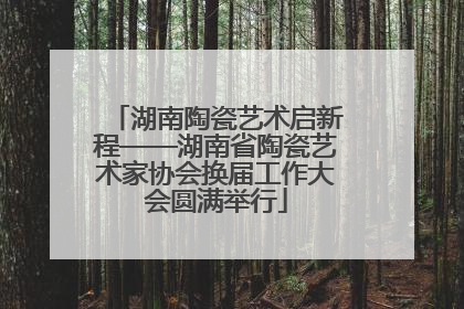 湖南陶瓷艺术启新程——湖南省陶瓷艺术家协会换届工作大会圆满举行