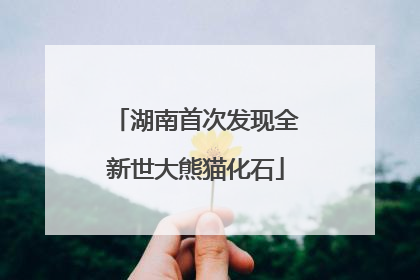 湖南首次发现全新世大熊猫化石