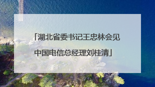 湖北省委书记王忠林会见中国电信总经理刘桂清