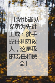 湖北省见义勇为先进王成：徒手握住利刃救人，这是我的责任和使命