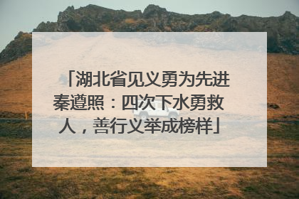 湖北省见义勇为先进秦遵照：四次下水勇救人，善行义举成榜样