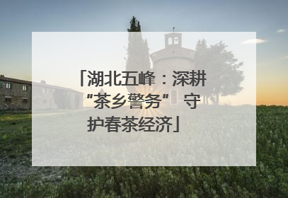 湖北五峰：深耕“茶乡警务” 守护春茶经济
