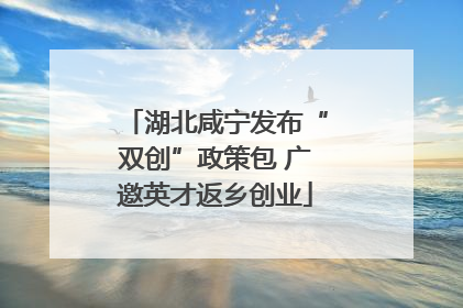 湖北咸宁发布“双创”政策包 广邀英才返乡创业