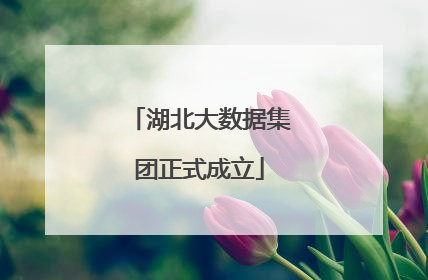 湖北大数据集团正式成立