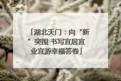 湖北天门：向“新”突围 书写宜居宜业宜游幸福答卷