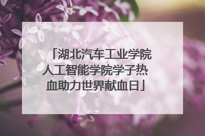 湖北汽车工业学院人工智能学院学子热血助力世界献血日