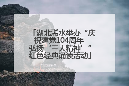 湖北浠水举办“庆祝建党104周年 弘扬‘三大精神’”红色经典诵读活动