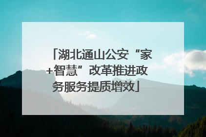 湖北通山公安“家+智慧”改革推进政务服务提质增效