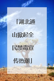 湖北通山掀起全民禁毒宣传热潮