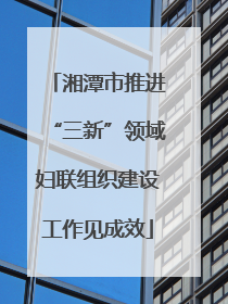 湘潭市推进“三新”领域妇联组织建设工作见成效