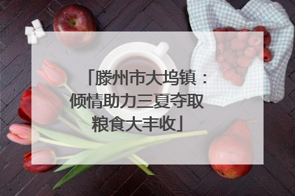滕州市大坞镇：倾情助力三夏夺取粮食大丰收