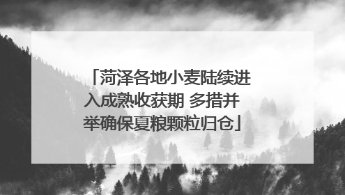 菏泽各地小麦陆续进入成熟收获期 多措并举确保夏粮颗粒归仓