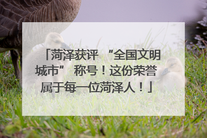 菏泽获评 “全国文明城市” 称号！这份荣誉属于每一位菏泽人！
