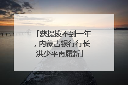 获提拔不到一年，内蒙古银行行长洪少平再履新