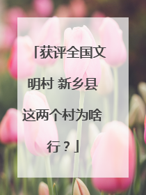 获评全国文明村 新乡县这两个村为啥行？