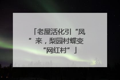 老屋活化引“凤”来，梨园村蝶变“网红村”