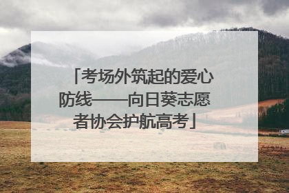 考场外筑起的爱心防线——向日葵志愿者协会护航高考