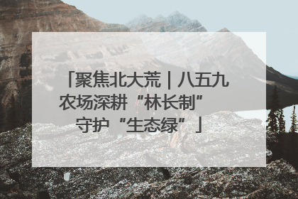 聚焦北大荒｜八五九农场深耕“林长制” 守护“生态绿”