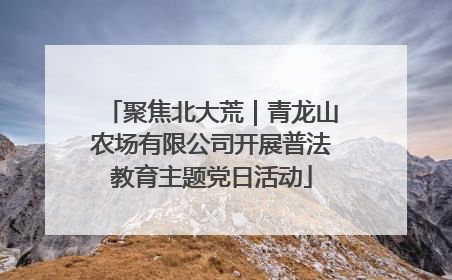 聚焦北大荒｜青龙山农场有限公司开展普法教育主题党日活动