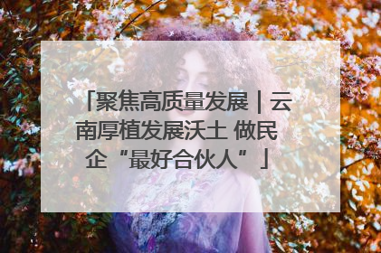 聚焦高质量发展｜云南厚植发展沃土 做民企“最好合伙人”