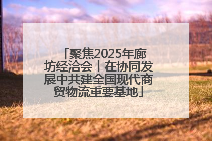 聚焦2025年廊坊经洽会丨在协同发展中共建全国现代商贸物流重要基地
