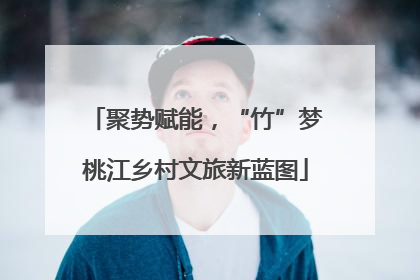 聚势赋能，“竹”梦桃江乡村文旅新蓝图