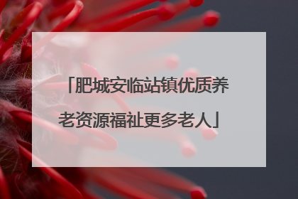肥城安临站镇优质养老资源福祉更多老人